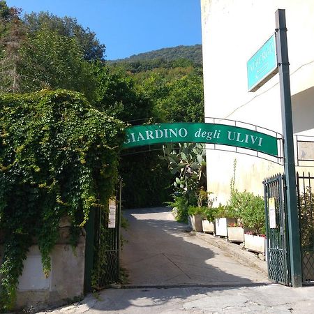 Hotel Giardino Degli Ulivi ซาน เฟลิเช เชร์ชีโอ ภายนอก รูปภาพ