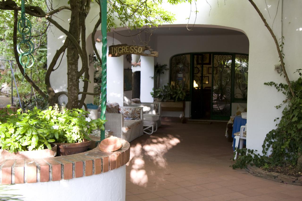 Hotel Giardino Degli Ulivi ซาน เฟลิเช เชร์ชีโอ ภายนอก รูปภาพ