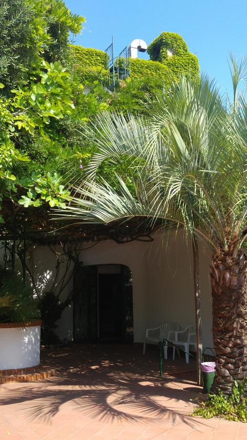 Hotel Giardino Degli Ulivi ซาน เฟลิเช เชร์ชีโอ ภายนอก รูปภาพ